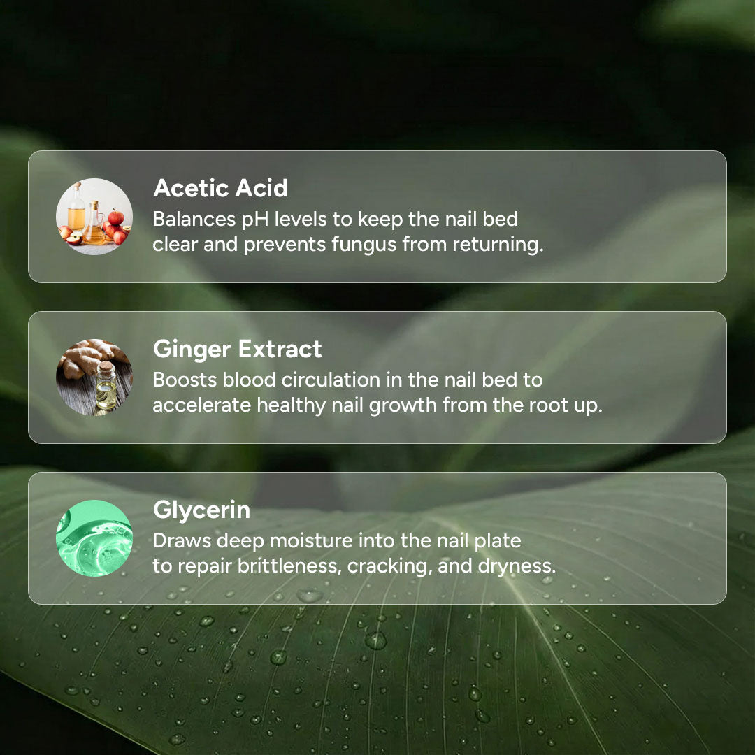 Anti-Fungal Repair Serum