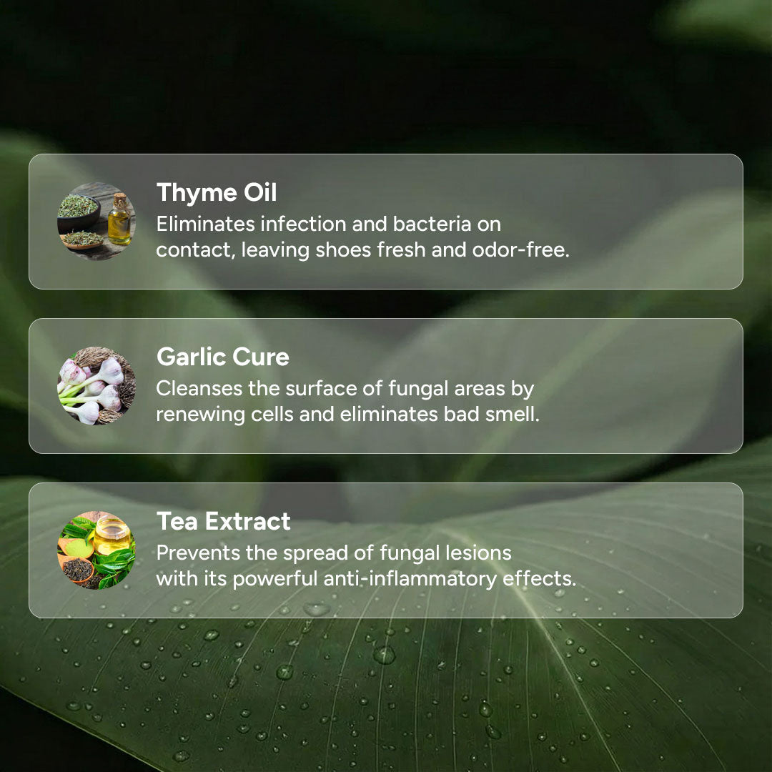 Anti-Fungal Shoe Spray